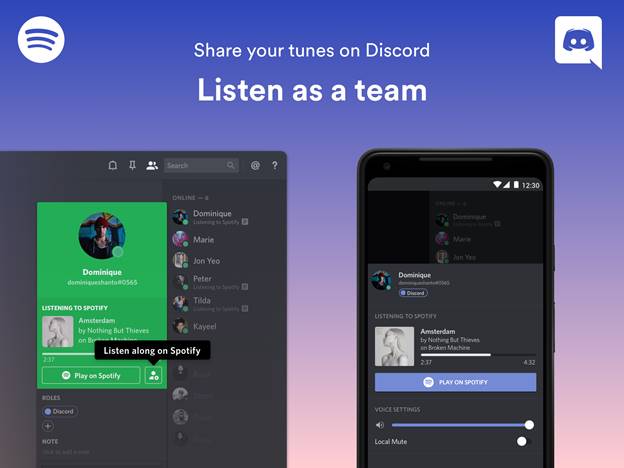 Discord music bots with spotify
